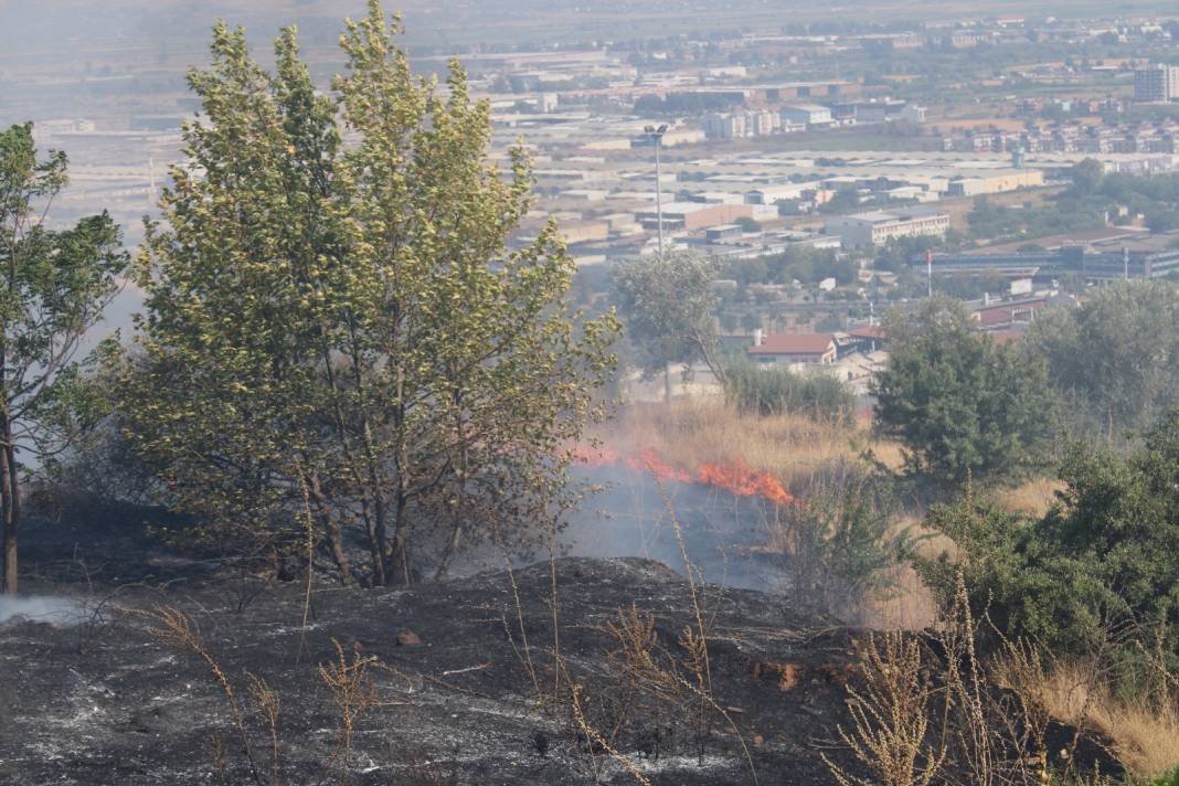 Aydın'daki yangın kontrol altına alındı. 19 er dumandan etkilendi 17